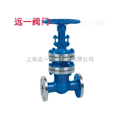 国标波纹管闸阀WZ41H-16C/25/40