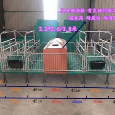 双体母猪产床 育保一体母猪产床生产厂家