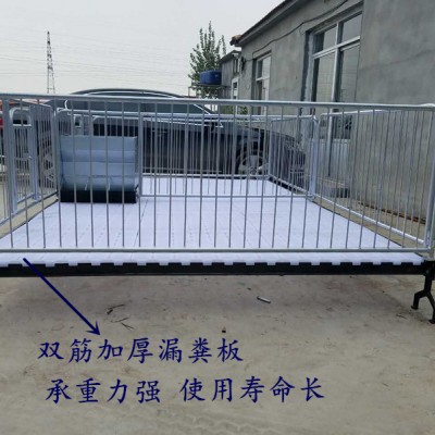 仔猪保育床 小猪用连体保育床生产厂家