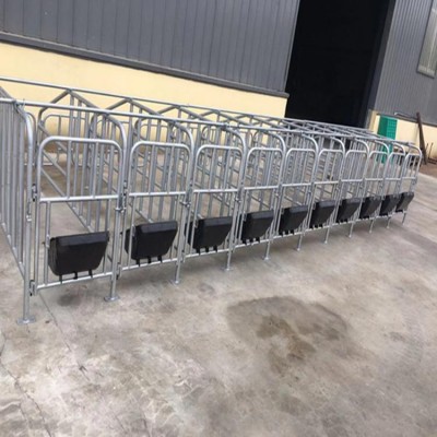 母猪限位栏  母猪用落地限位架生产出售