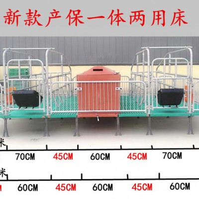 母猪双体产床  猪用产保两用床现货