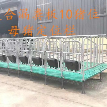 母猪限位栏  猪用全复合限位栏现货直销