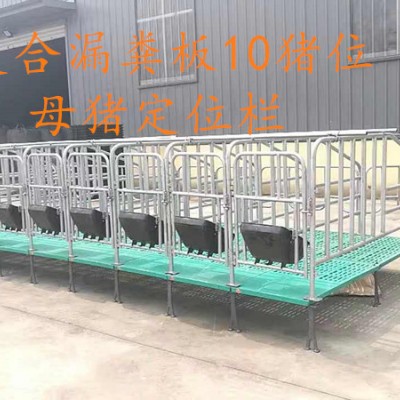 母猪限位栏  猪用全复合限位栏现货直销