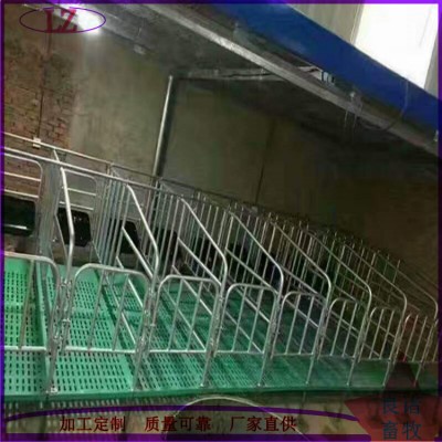 母猪悬空式定位栏落地式定位栏养猪场