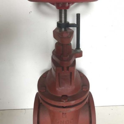 上海精骋阀门 船用CB/T465-1995法兰铸铁闸阀