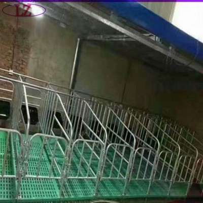 养猪设备母猪落地式定位栏悬空限位栏哪家好