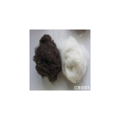 供应销售绵羊绒原料 水洗绵羊绒 无异味