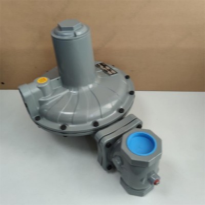 CS800IN-6E调压器CS800IN-3E调压器