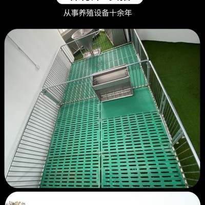 猪场仔猪复合保育床热镀锌大架防腐效果好