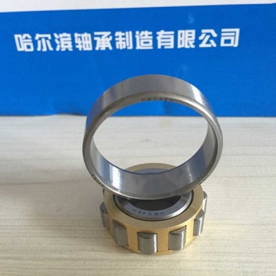 供应圆柱滚子轴承N204EM
