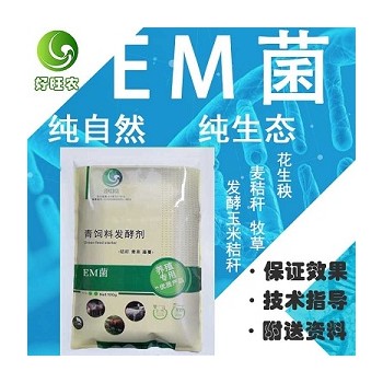 玉米秸秆能用来喂鹅吗