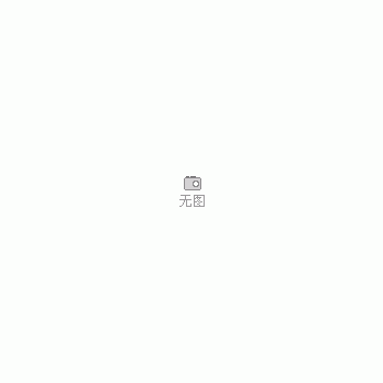 批量定做异形d电镀磨盘