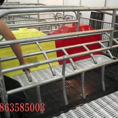 产床保育两用母猪产床