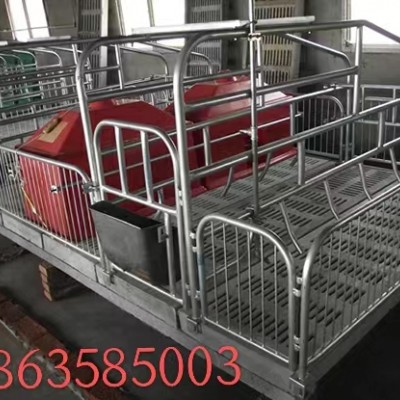 水泥漏粪板底母猪产床