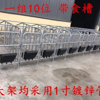 母猪限位栏  母猪用落地限位架生产厂家