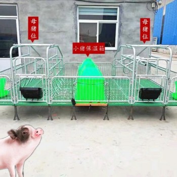 母猪双体产床  猪用全复合分娩床现货