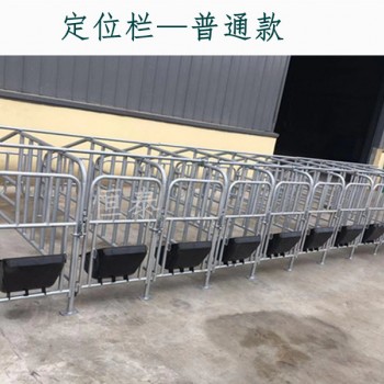 母猪限位栏  母猪用落地限位架生产厂家