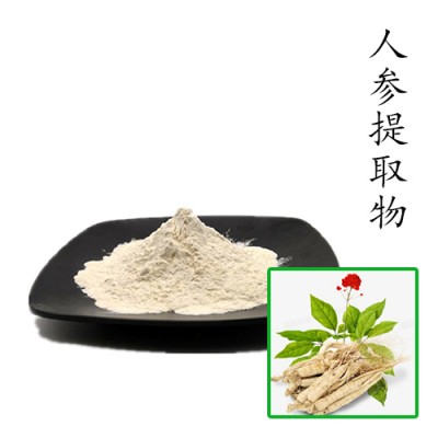 人参提取物10:1 人参皂苷 人参皂甙 厂家直销 量大优惠