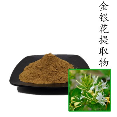 金银花提取物10:1
