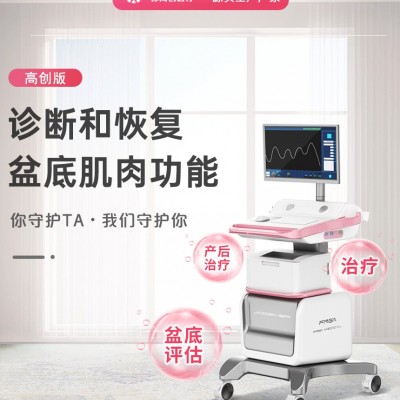 盆底肌修复仪器 盆底仪器 产后修复仪器价格