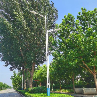路灯厂50瓦高低臂LED路灯厂家