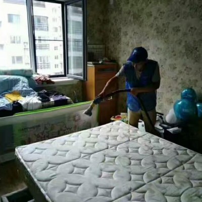 广州海珠新港西除螨公司，清洗床垫除螨，专业上门除螨虫