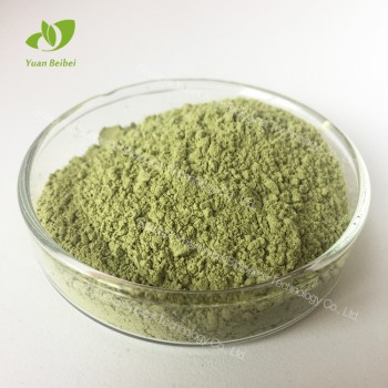 绿豆粉果蔬粉植物提取物量多从优实力工厂