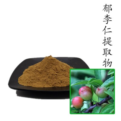 郁李仁提取物10:1 散装浓缩粉