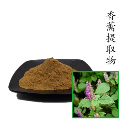 香薷提取物10:1 散装浓缩粉