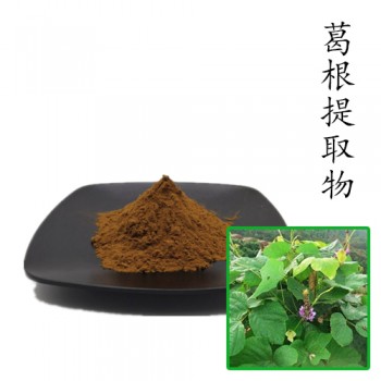 葛根提取物10:1 散装浓缩粉