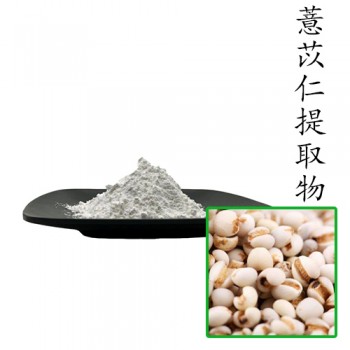 薏苡仁提取物10:1 散装浓缩粉
