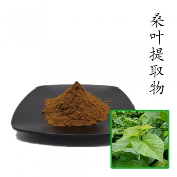 桑叶提取物10:1 散装浓缩粉