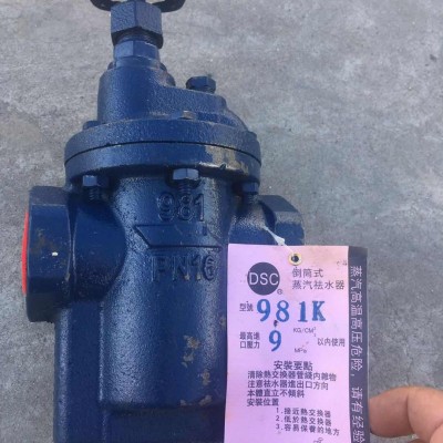供应中国台湾DSC铸铁倒筒式疏水阀981K型