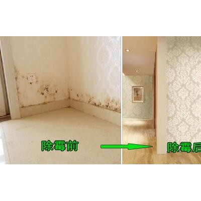 广州荔湾芳村除霉公司，清除发霉服务，天花墙壁发霉处理