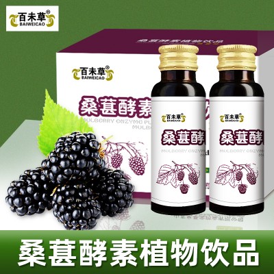 百未草桑葚酵素植物饮品 OEM贴牌代工 庆葆堂生物