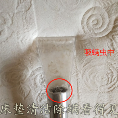 广州黄埔九龙除螨服务，清洗床垫沙发，正规除螨除菌公司