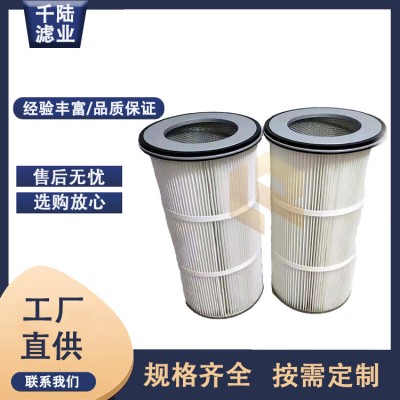 供应圆盘法兰除尘滤筒 覆膜防静电上装法兰式除尘滤芯