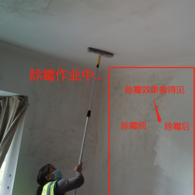 广州番禺市桥除霉公司，清洁发霉服务，上门除发霉电话