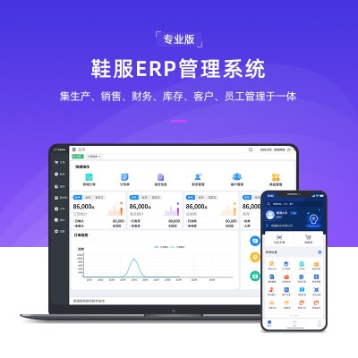 顺通鞋服销售ERP出入库管理系统