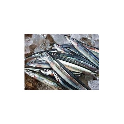 日本鳀鱼进口报关清关代理操作