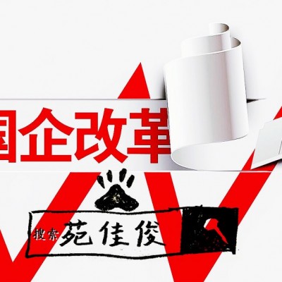 民企办理国企混改的优势意义