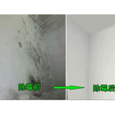 广州客村除发霉公司，墙壁除霉上门服务，家里屋顶除霉菌