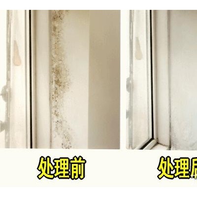 广州神舟路正规除霉电话，室内墙壁发黑点，处理霉斑公司