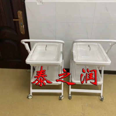 供应泰之润TZR-TCA内镜转运车可定制