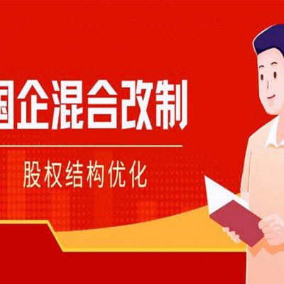 私企办理央企混改方式流程要求