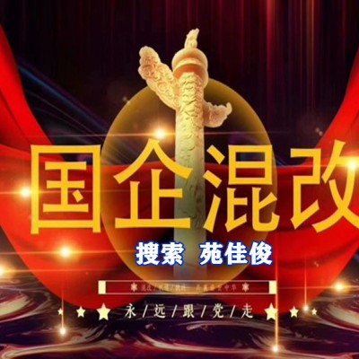 民企国企混改合作的方式要求