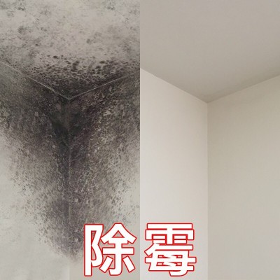 广州天河体育西除霉公司，清洁发霉服务，房子发霉处理电话