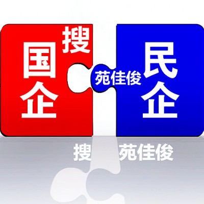国企混改国企参股民企的方式流程费用