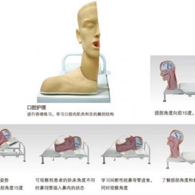益联医学高级吞咽机制模型