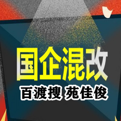 民企与国企混改需要什么手续